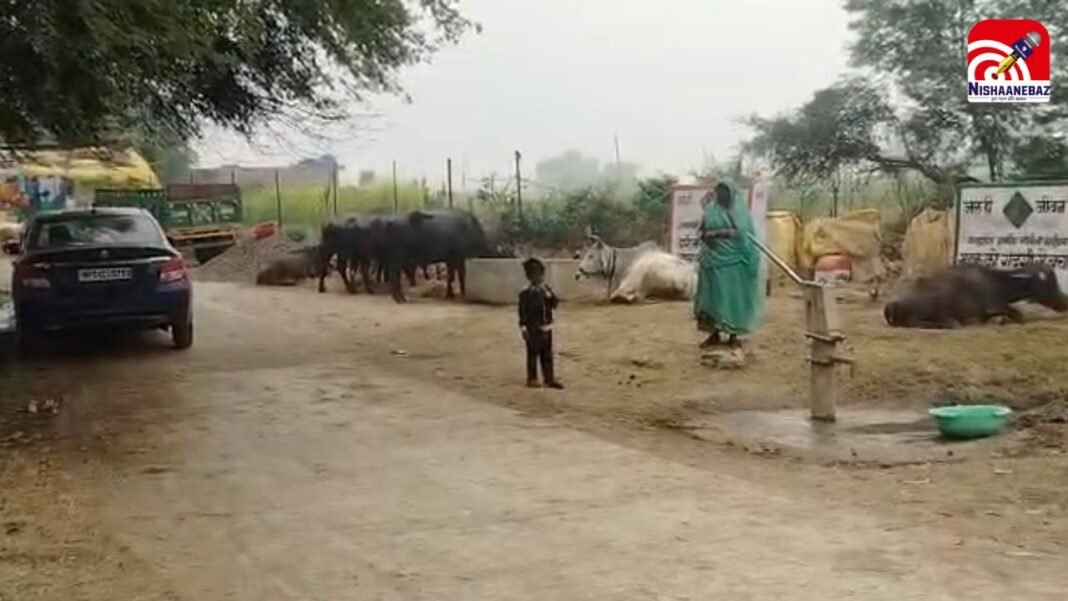 Shajapur Panchayat Corruption : अययापुर पंचायत में भ्रष्टाचार का ‘बोलबाला’ : राशि डकार गए सरपंच-सचिव पर काम अधूरा; नलों से आ रहा बदबूदार पानी, गंदगी से ग्रामीण बेहाल