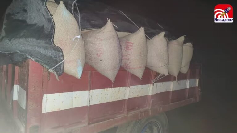 Balrampur Paddy Scam 2026 : बलरामपुर : अवैध धान के ‘खेल’ में पटवारी गिरफ्तार; यूपी से धान मंगवाकर छत्तीसगढ़ की मंडियों में खपाया, 2 आरोपी जेल