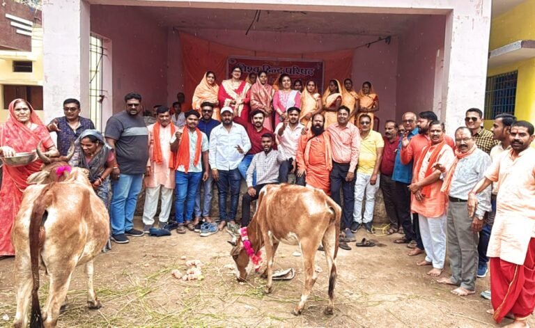 Rajnandgaon Youth Cow Service : राजनांदगांव के युवाओं की अनूठी मिसाल: घायल गौवंश और मूक प्राणियों के लिए बने ‘संजीवनी’; निस्वार्थ सेवा से पेश की करुणा की मिसाल