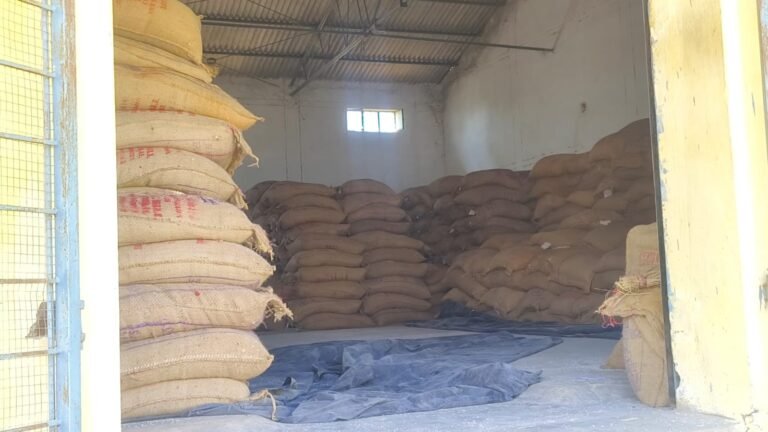 Rice Scam Chhattisgarh : कोंडागांव वेयरहाउस में चावल का ‘बड़ा खेल’: 250 बोरी शॉर्टेज मिलते ही बाहर से लाकर खपाया गया माल