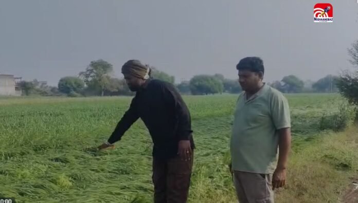 burhanpur (13)