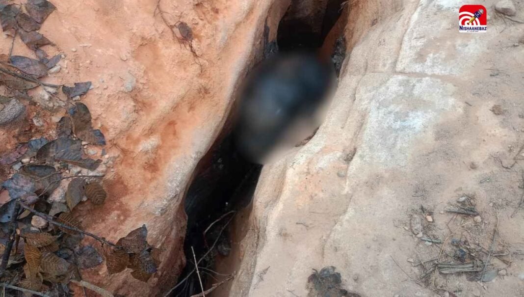 रायगढ़ में फिर हाथी के बच्चे की मौत, चट्टानों के बीच गिरने से गई मासूम की जान