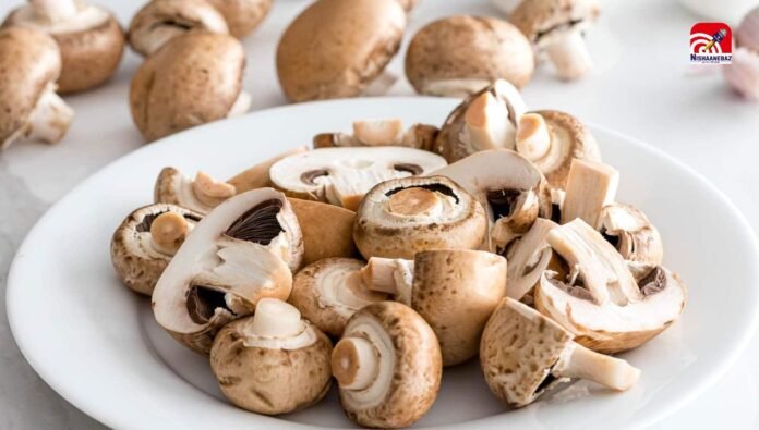 mushroom
