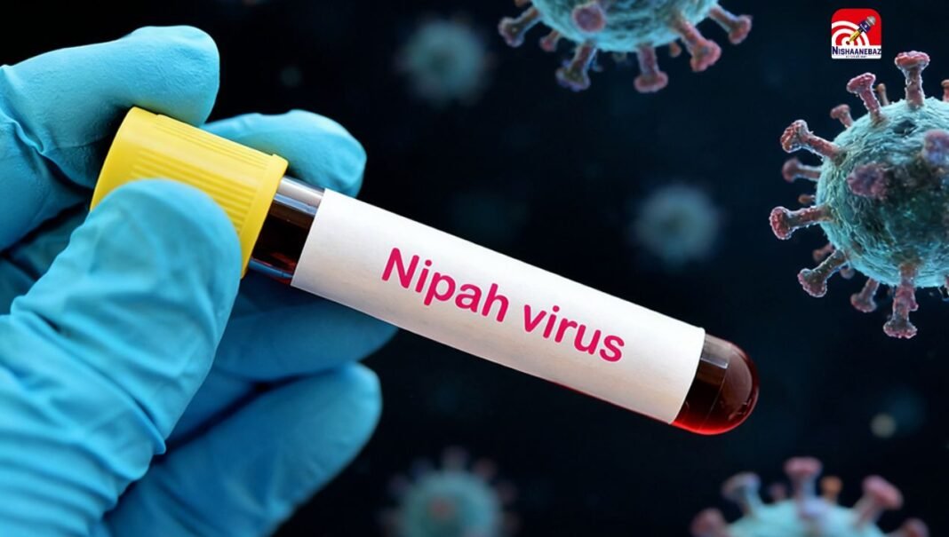 Nipah Virus ने फिर बढ़ाई टेंशन! जानें इसके कैसे फैलता है और क्या हैं इसके लक्षण