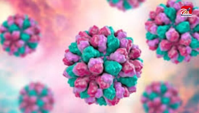 norovirus