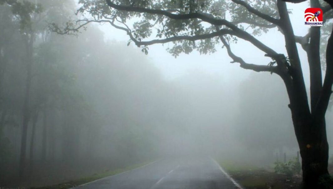 C.G Weather : छत्तीसगढ़ में फिर बढ़ेगी ठिठुरन! अगले 3–4 दिनों में शीतलहर का असर, कई जिलों में अलर्ट जारी