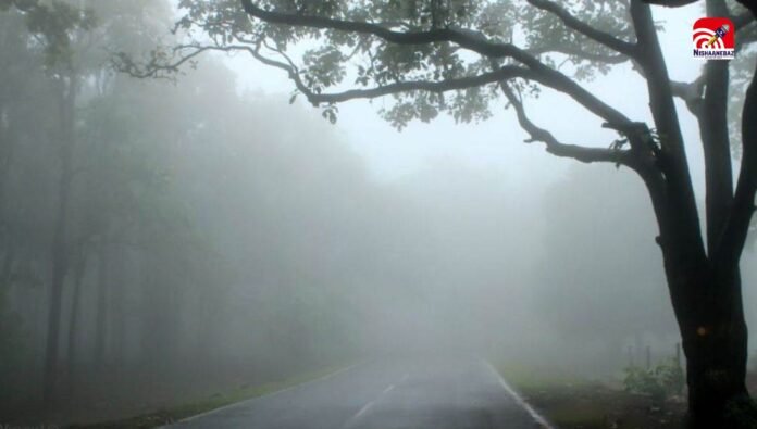 weather