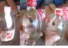 CG News: राजनांदगांव में देसी शराब की बोतल में मिला कीड़ा, सोशल मीडिया पर वायरल हुआ वीडियो CG News