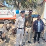 Raigarh News