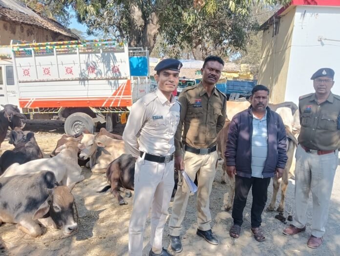 Raigarh News Raigarh News