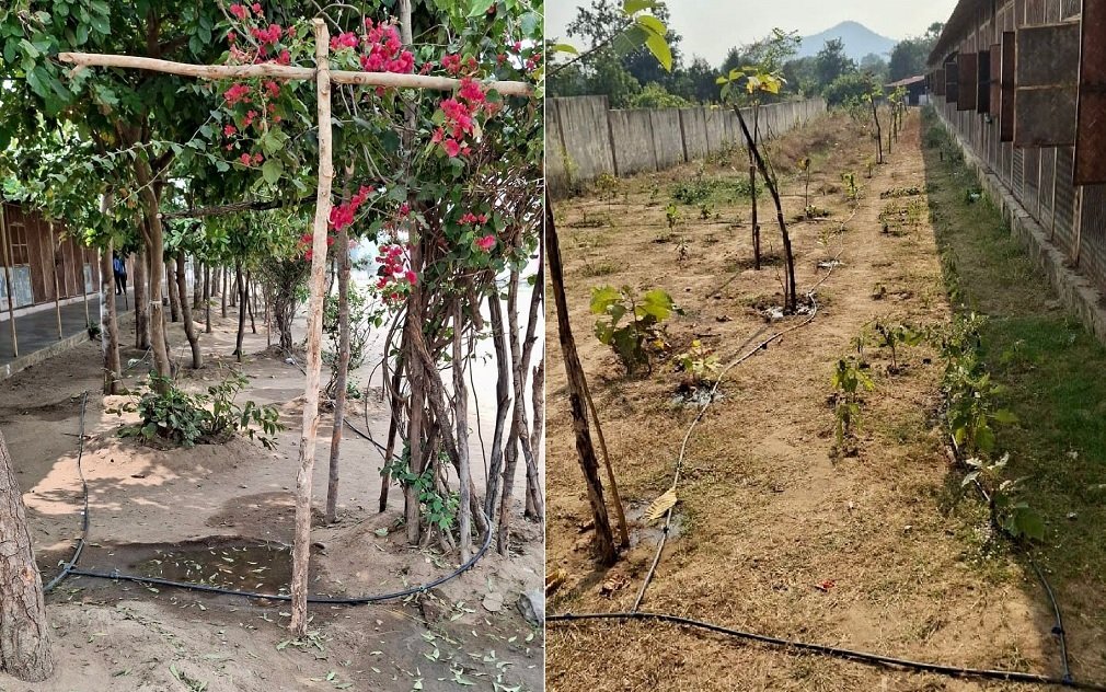 sukma News: पोटाकेबिन में ‘वेस्ट वॉटर मैनेजमेंट’ के जरिए लहलहा उठी बगिया