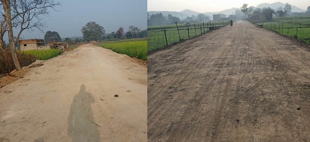 Singrauli News: जंगल में घुसी पीडब्ल्यूडी की सड़क, रातों-रात कट गए पेड़, लकड़ी गायब, कार्रवाई पर उठे गंभीर सवाल