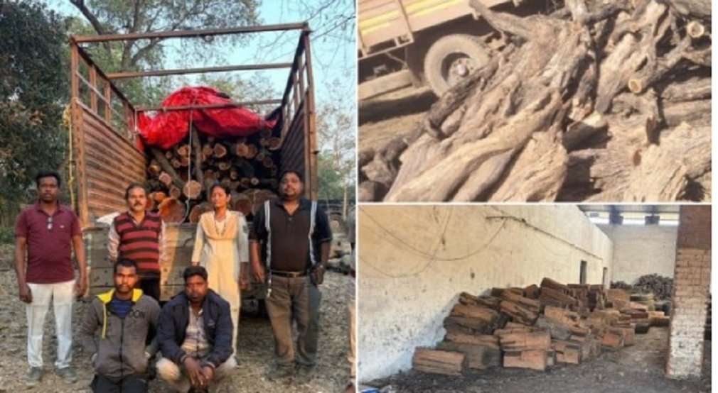 CG NEWS : रायगढ़ में वन विभाग की ‘सर्जिकल स्ट्राइक’: पंजाब-हरियाणा तक फैले खैर लकड़ी तस्करी गिरोह का भंडाफोड़, ट्रक घेराबंदी में चालक धराया