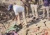 rewa crime : जंगल में मिला बंद बोरे में नर कंकाल, टूटी हुई चूड़ी, लंबे बाल से पुलिस ने जताई महिला होने की आशंका rewa crime
