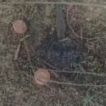 Balod News