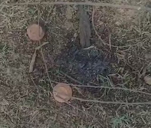 Balod News : 3 वर्षीय बच्ची की कब्र से छेड़छाड़ की आशंका, तंत्र-मंत्र का सामान मिलने से गांव में दहशत