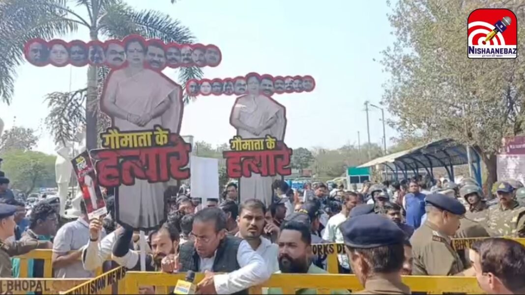 Bhopal Municipal Corporation Protest : गंदे पानी की सप्लाई और गौ मांस के मुद्दे पर कांग्रेस का प्रदर्शन; नगर निगम कार्यालय का किया घेराव