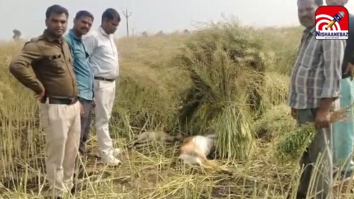 Vikash@Khalkho_ji - 2026-02-10T151101.012