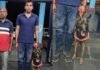 Dog Squad Success Story : पुलिस डॉग ‘विमला’ ने पेश की मिसाल; 10 किमी की दुर्गम ट्रैकिंग कर बचाई लापता ग्रामीण की जान