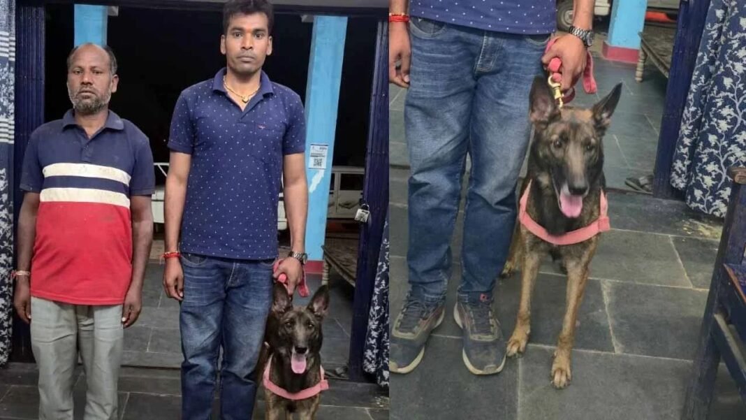 Dog Squad Success Story : पुलिस डॉग ‘विमला’ ने पेश की मिसाल; 10 किमी की दुर्गम ट्रैकिंग कर बचाई लापता ग्रामीण की जान
