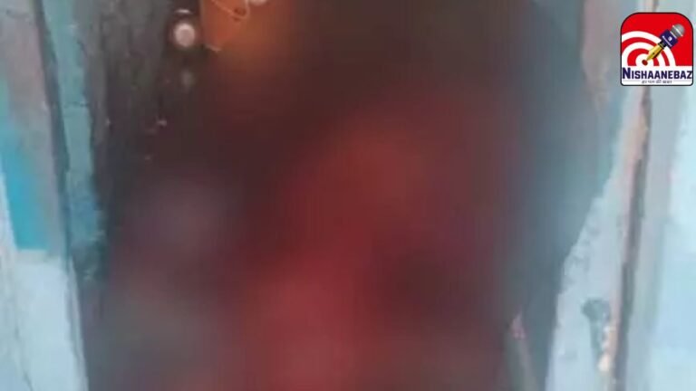 Son Killed Father Bilaspur : रिश्तों का कत्ल: पिता ने पैसे देने से किया इनकार, तो नशे में धुत बेटे ने फावड़े से कर दी नृशंस हत्या