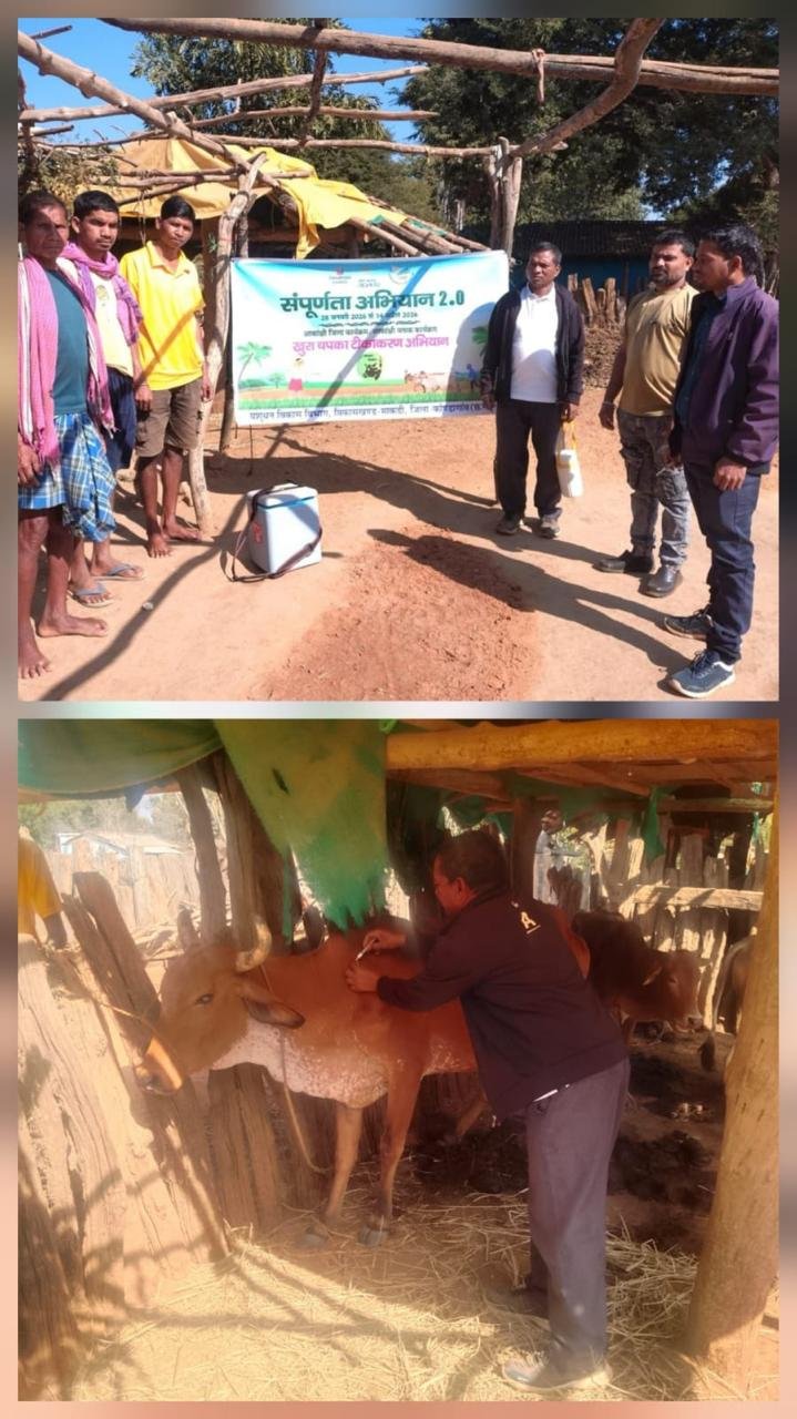 खुरपका-मुंहपका रोग से मुक्त होगा माकड़ी: पशुधन विभाग ने पूरा किया शत-प्रतिशत प्रतिरक्षण का लक्ष्य