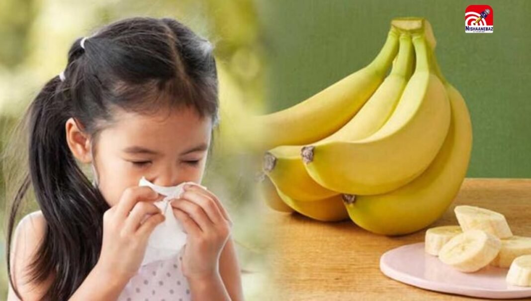 Health News : खांसी-जुकाम में क्या खाना चाहिए केला? जानिए एक्सपर्ट्स की राय