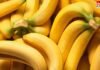 रोजाना एक केला खाने से आपको होंगे चौंकाने वाले फायदे, स्वास्थ्य रहे हमेशा मजबूत, डॉक्टर से रखे दूर