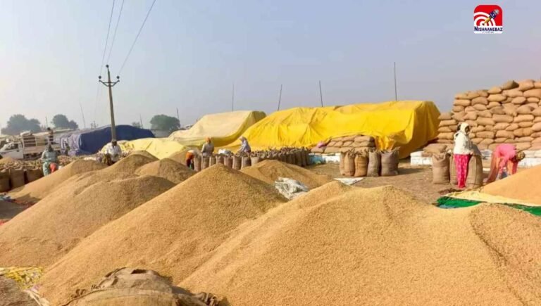 छत्तीसगढ़ के किसानों को बड़ी राहत! धान खरीदी की तारीख 6 फरवरी तक बढ़ी, अन्नदाता की चिंता कम