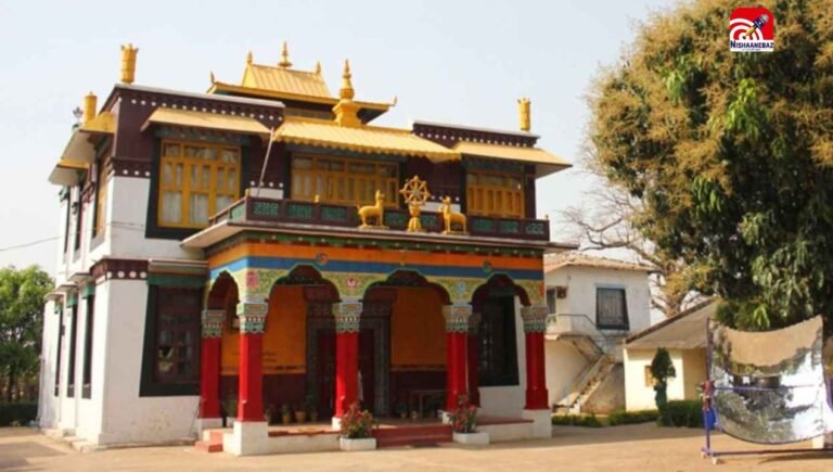 C.G News : मैनपाट महोत्सव आज से शुरू, CM विष्णु देव साय करेंगे भव्य उद्घाटन