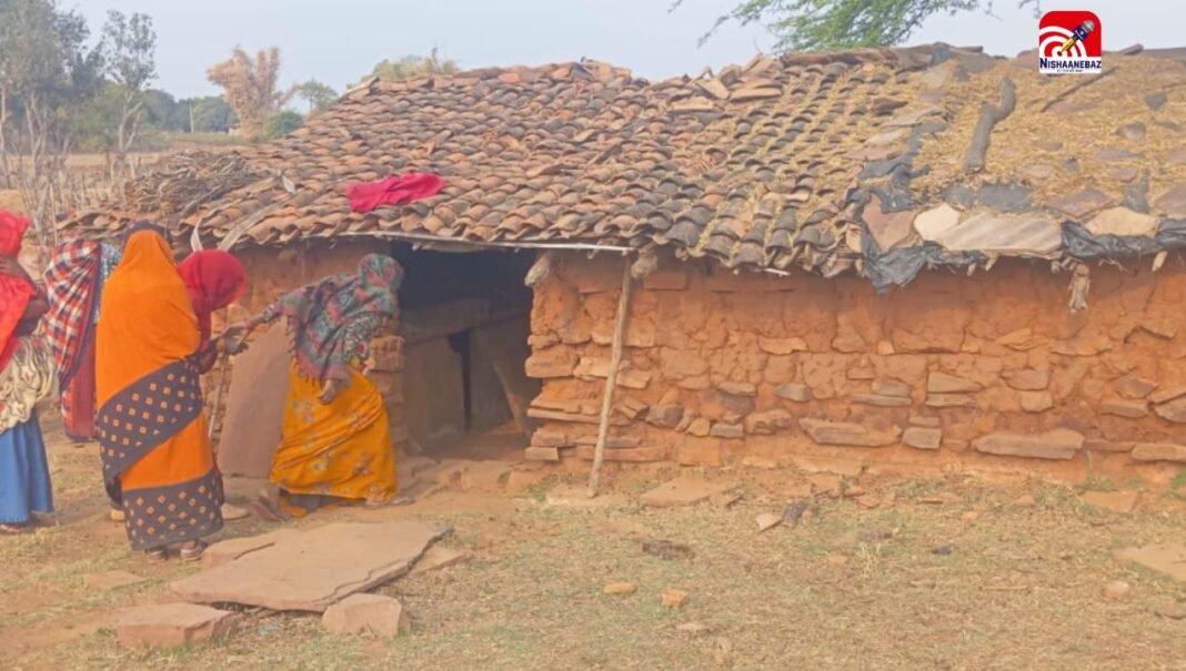 M.P News : मऊगंज में तेंदुए का आतंक, घर में घुसकर 15 बकरियों को मार डाला