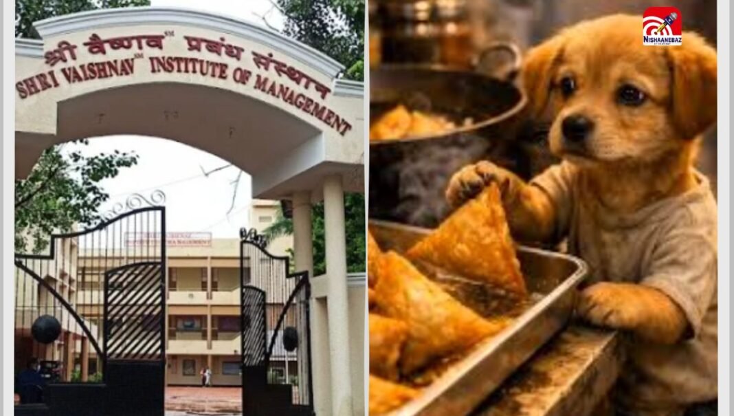 इंदौर के निजी कॉलेज कैंटीन के समोसों पर कुत्ते ने लगाया मुंह, मचा हड़कंप… Video वायरल