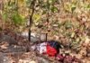 Singrauli News: पिडरवाह जंगल में महिला का सड़ा-गला शव मिला, हत्या की आशंका, 3–4 दिन पुराना शव, पहचान और कारणों की जांच में जुटी पुलिस Singrauli News