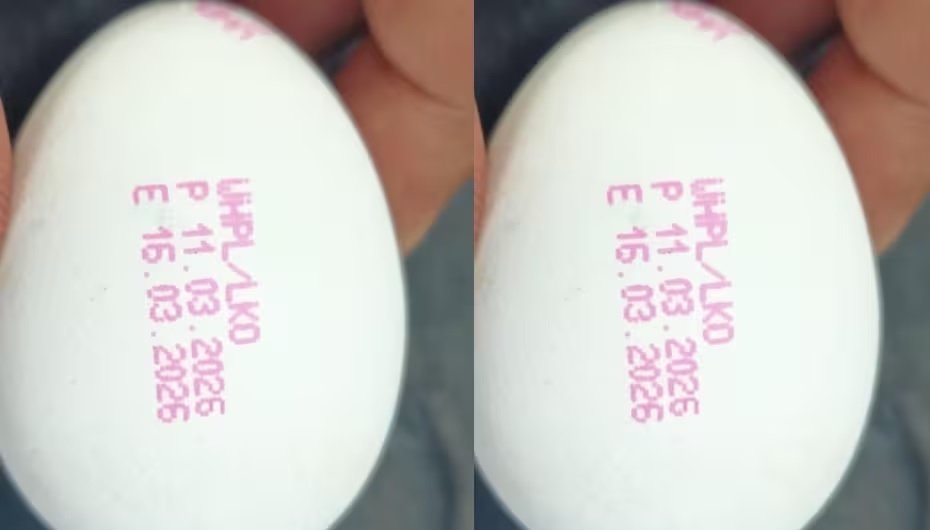 Lucknow News : इस राज्य में अब अंडों पर अनिवार्य होगी एक्सपायरी डेट, 1 अप्रैल से लागू होगा नया नियम