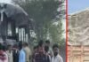 Accident News : बस और ट्रक की आमने-सामने टक्कर, 5 की मौत और 12 से अधिक घायल Accident News