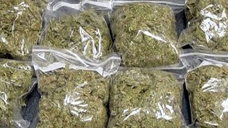 Jashpur Police Ganja Smuggling : वर्दी की आड़ में नशें का काला कारोबार: गांजा तस्करों के मददगार निकले दो आरक्षक, जशपुर पुलिस की बड़ी कार्रवाई