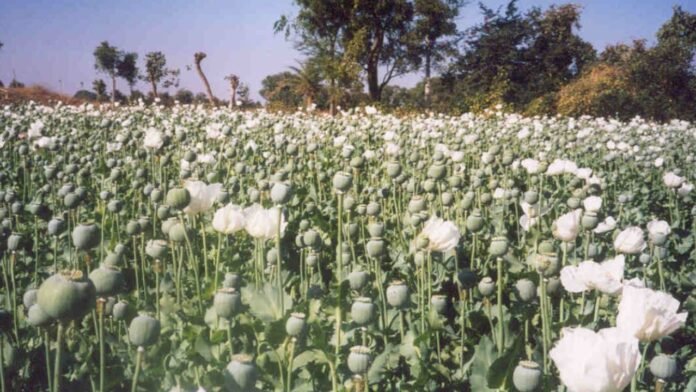 Vikash@Khalkho_ji - 2026-03-08T201439.911