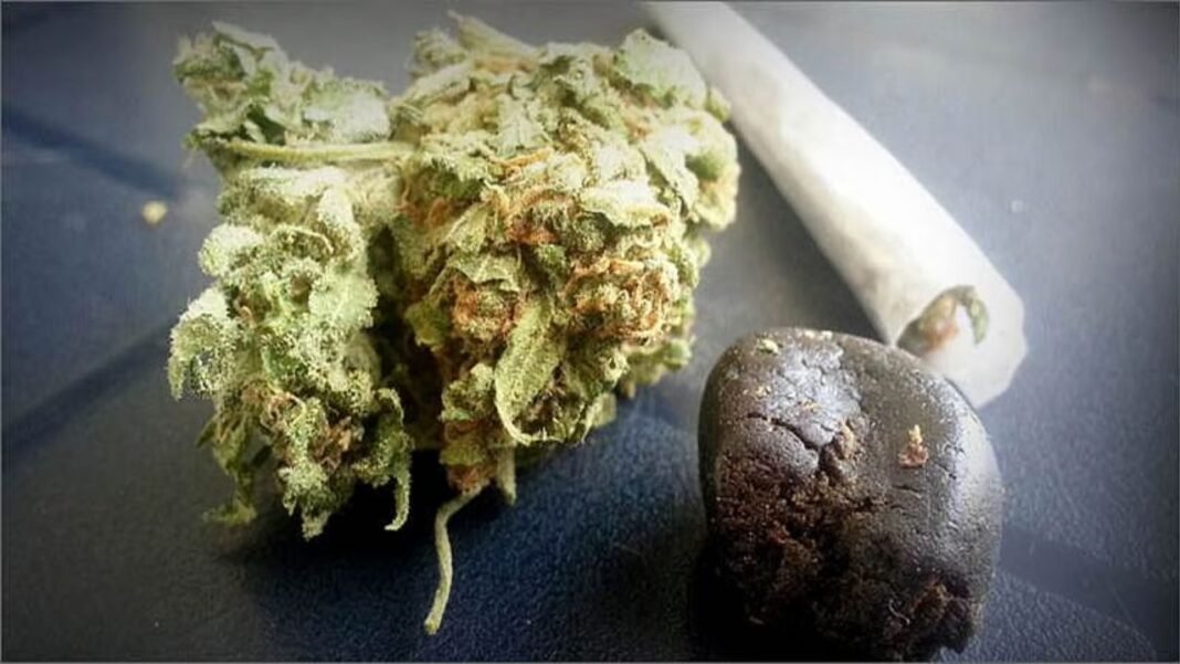 Mumbai Crime Branch Charas Seizure : मुंबई में ड्रग्स माफिया पर सर्जिकल स्ट्राइक: 2 करोड़ की चरस के साथ 2 सप्लायर गिरफ्तार; विक्रोली के ‘सेफ हाउस’ में मिली बड़ी खेप