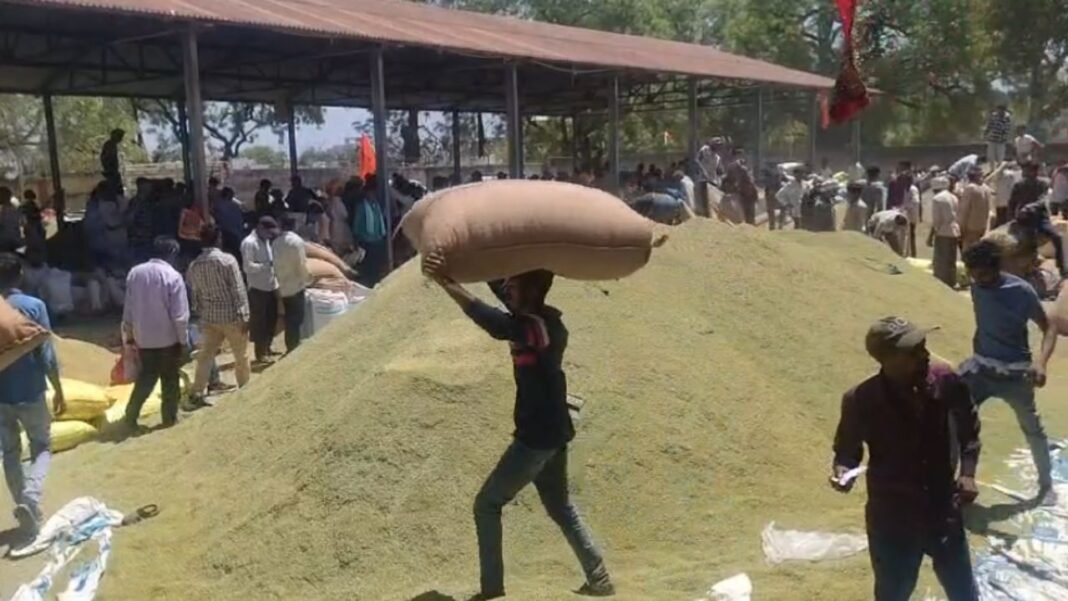 Saunf Mandi Barwani Issues : बड़वानी मंडी में अन्नदाता बेहाल: प्रदेश की इकलौती सौंफ मंडी में किसानों को नसीब नहीं ठंडा पानी, रात भर खुले में सोने को मजबूर