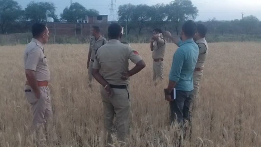 Rewa Murder Case MP Crime News : रीवा में रूह कंपा देने वाली वारदात: सिर कटी लाश मिलने के 2 घंटे बाद गेहूं के खेत से बरामद हुआ महिला का सिर, इलाके में सनसनी