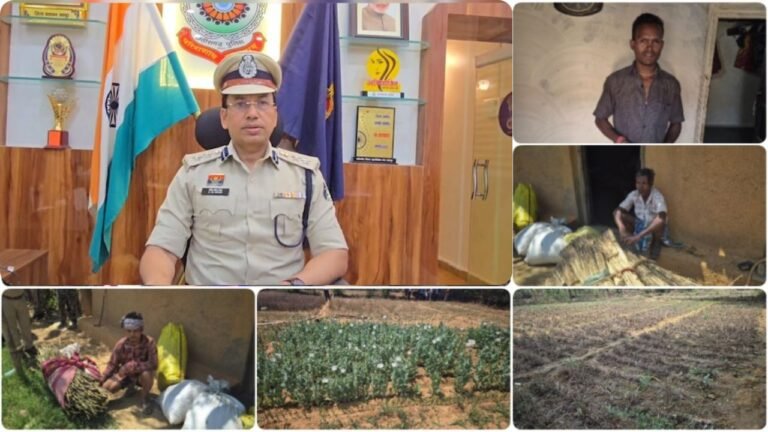 Raigarh Opium Strike : सब्जियों के बीच लहलहा रही थी अफीम की खेती, रायगढ़ एसएसपी की हाई-टेक टीम ने किया अफीम माफिया का अंत