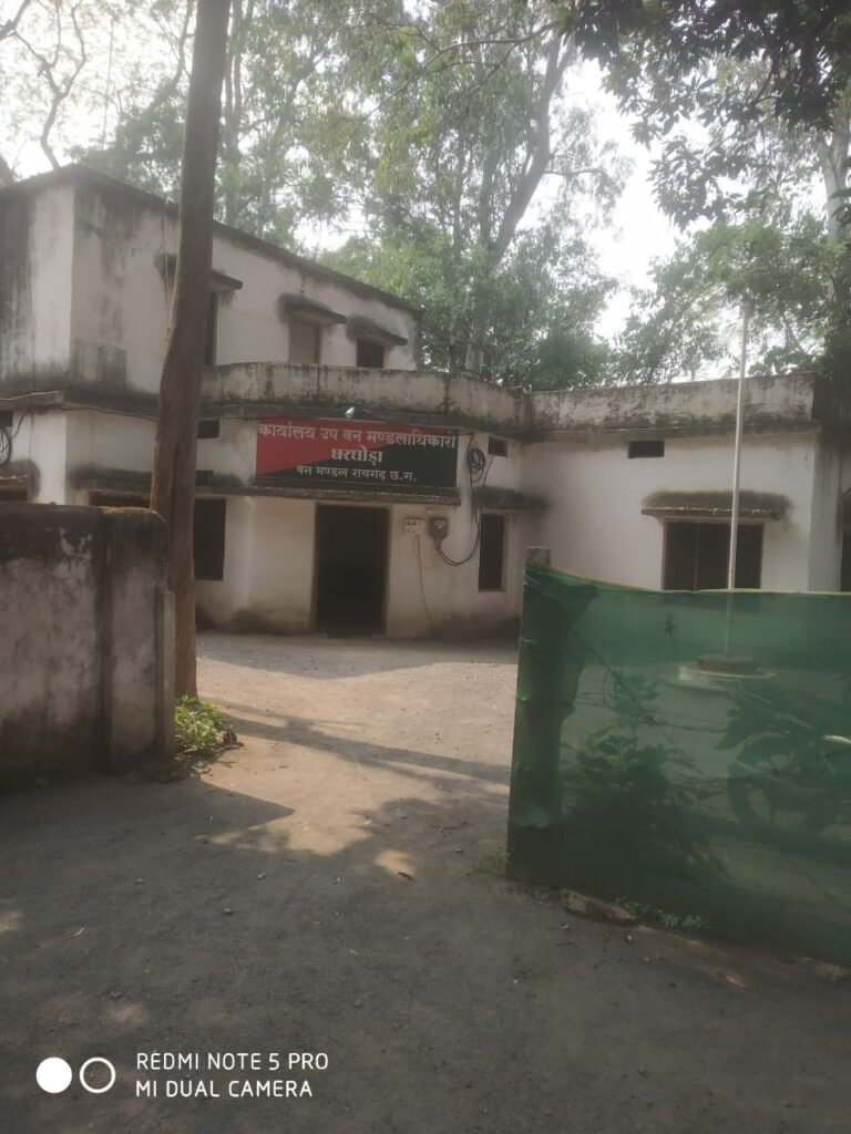 Forest Department Negligence : रायगढ़: वन विभाग की ‘हाईटेक’ लापरवाही! देहरादून से हो रही जानवरों की गणना, जंगलों से गायब हुए कई वन्यजीव
