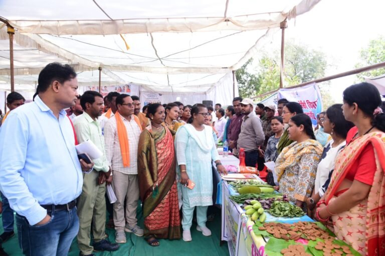 Collector Nupur Rashi Panna : माकड़ी में प्रशासनिक सक्रियता: कलेक्टर और जिला पंचायत सीईओ ने विकास कार्यों का किया संयुक्त निरीक्षण