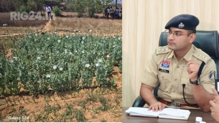 Raigarh Opium Cultivation : ड्रोन की नजर में रायगढ़ के खेत: अफीम की खेती पर प्रशासन का कड़ा प्रहार, पुलिस की कार्रवाई से पहले खुद साफ करें खेत