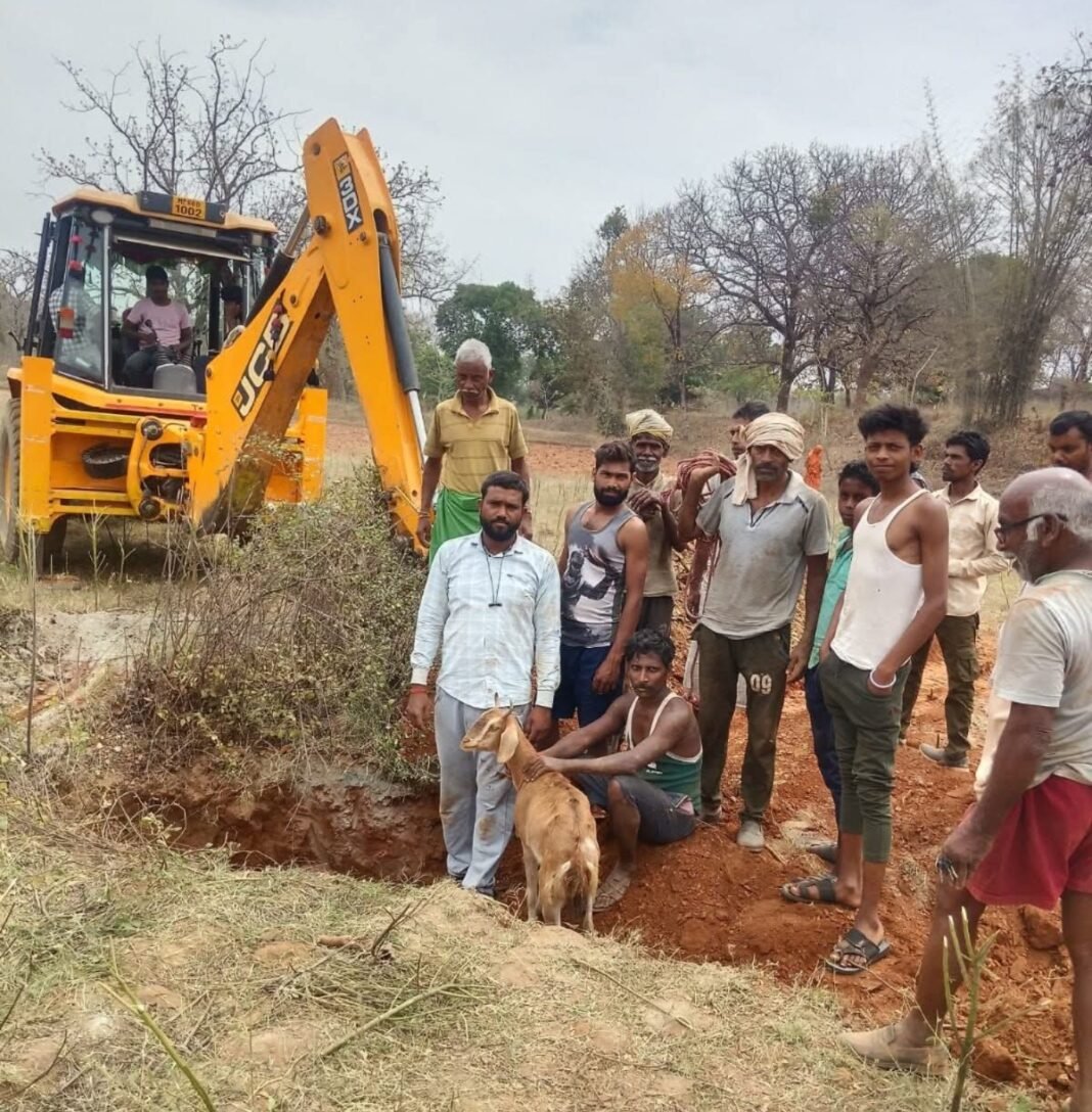 Singrauli News Borewell Rescue : सिंगरौली में ‘ऑपरेशन जज्बा’: 30 फीट गहरे बोरवेल में गिरी 12 हजारी बकरी, ग्रामीणों ने 5 घंटे की मशक्कत के बाद सुरक्षित निकाला