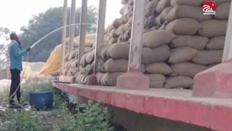 C.G News : आरंग के भलेरा धान खरीदी केंद्र में बड़ी लापरवाही, बोरियों में पाइप से डाला जा रहा था पानी