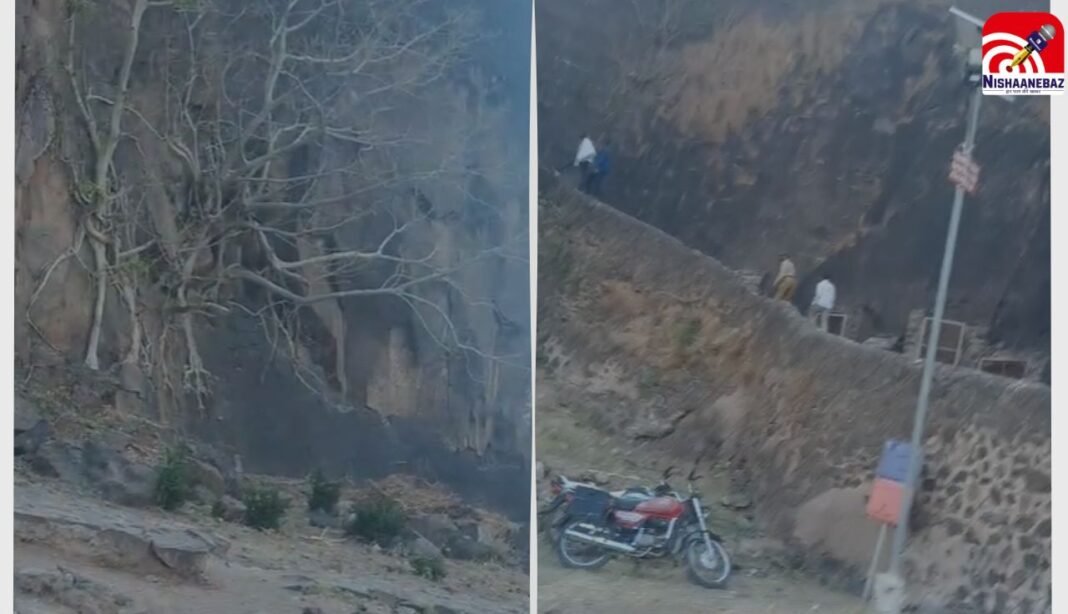 M.P News : बुरहानपुर के असीरगढ़ किले पर मधुमक्खियों का हमला, कई पर्यटक घायल