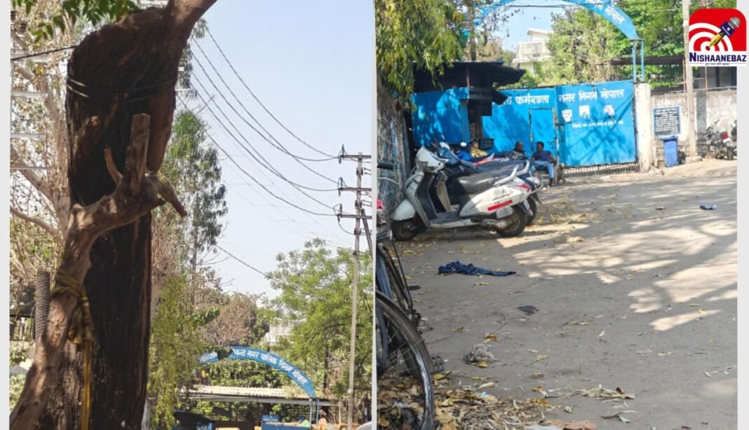 M.P News : भोपाल नगर निगम की सेंट्रल वर्कशॉप मैकेनिकल पर लोकायुक्त का छापा, दस्तावेजों की जांच जारी