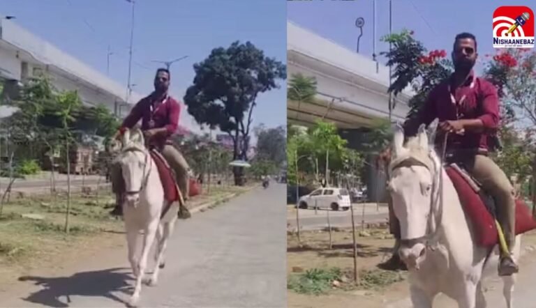 M.P News : देवास में अनोखा  जुगाड़! पेट्रोल संकट के बीच घोड़े पर ऑफिस पहुंचा बैंक कर्मचारी