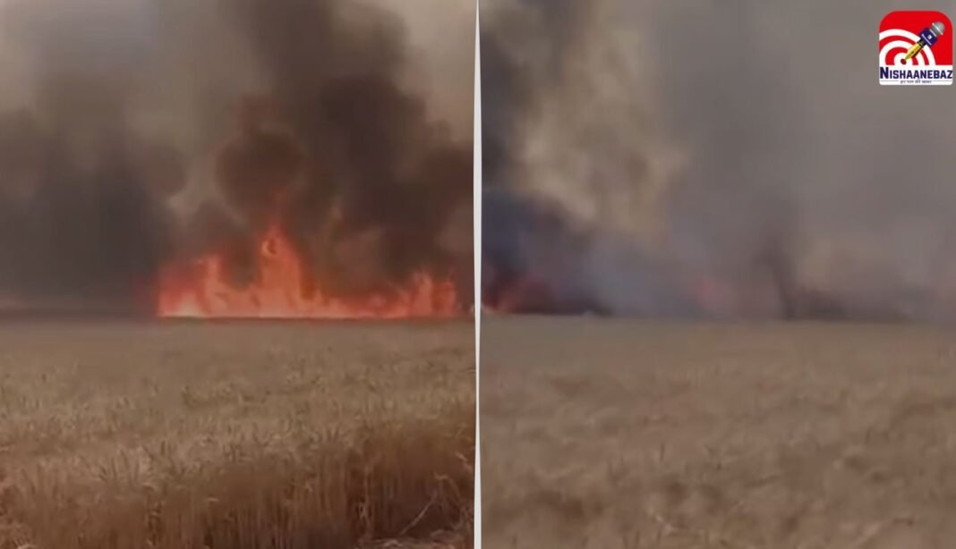 M.P News : इंदौर में गेहूं के खेत में भीषण आग, 40 बीघा फसल जलकर खाक